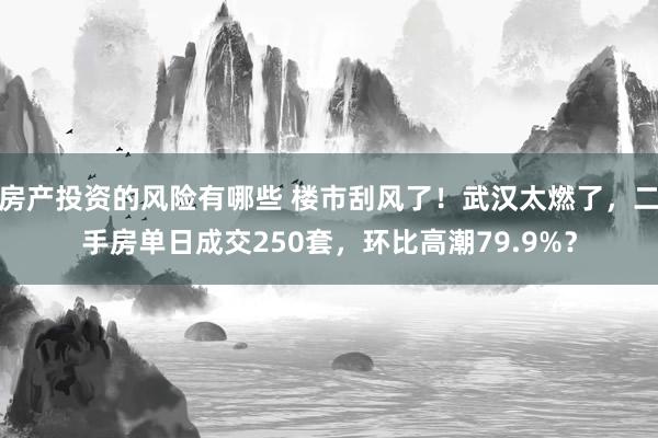 房产投资的风险有哪些 楼市刮风了！武汉太燃了，二手房单日成交250套，环比高潮79.9%？