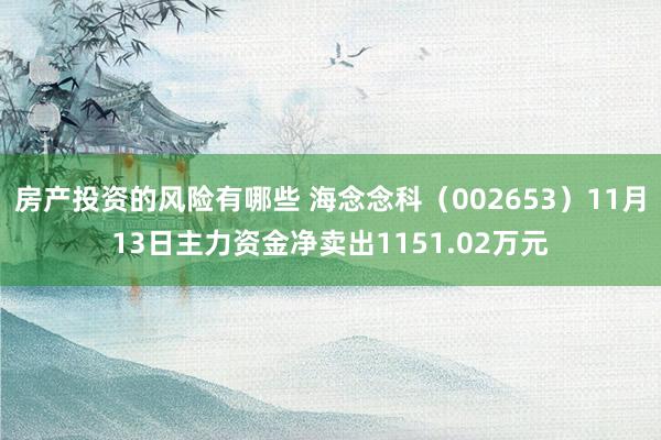 房产投资的风险有哪些 海念念科（002653）11月13日主力资金净卖出1151.02万元