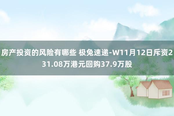 房产投资的风险有哪些 极兔速递-W11月12日斥资231.08万港元回购37.9万股