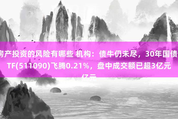 房产投资的风险有哪些 机构：债牛仍未尽，30年国债ETF(511090)飞腾0.21%，盘中成交额已超3亿元