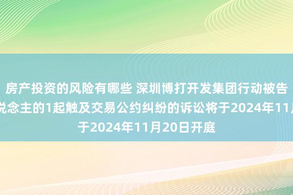 房产投资的风险有哪些 深圳博打开发集团行动被告/被上诉东说念主的1起触及交易公约纠纷的诉讼将于2024年11月20日开庭