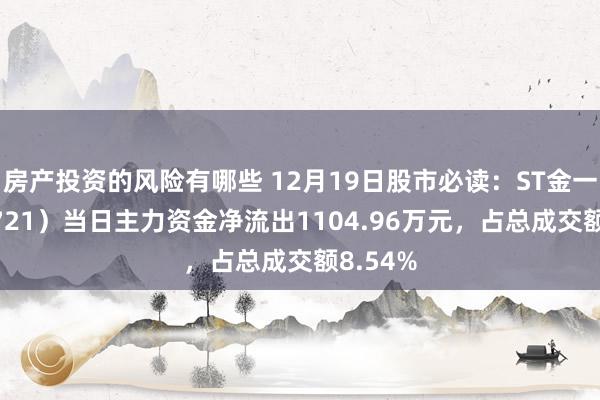 房产投资的风险有哪些 12月19日股市必读：ST金一（002721）当日主力资金净流出1104.96万元，占总成交额8.54%