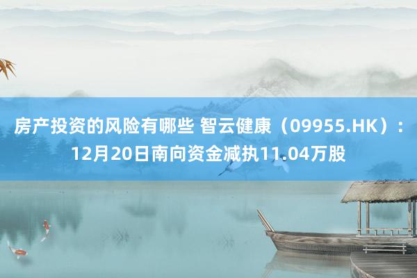 房产投资的风险有哪些 智云健康（09955.HK）：12月20日南向资金减执11.04万股