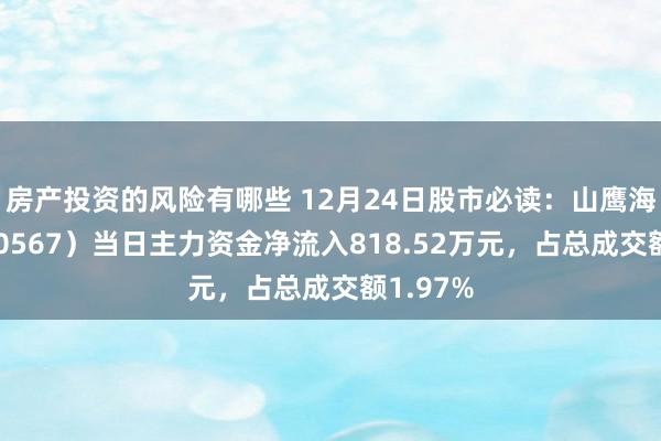 房产投资的风险有哪些 12月24日股市必读：山鹰海外（600567）当日主力资金净流入818.52万元，占总成交额1.97%