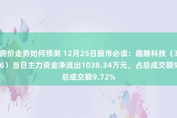 房价走势如何预测 12月25日股市必读：趣睡科技（301336）当日主力资金净流出1038.34万元，占总成交额9.72%