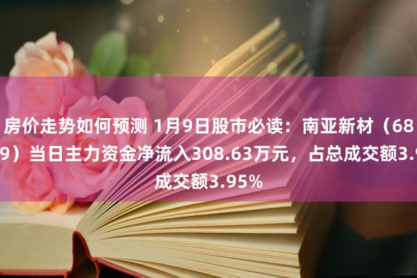 房价走势如何预测 1月9日股市必读：南亚新材（688519）当日主力资金净流入308.63万元，占总成交额3.95%