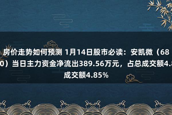 房价走势如何预测 1月14日股市必读：安凯微（688620）当日主力资金净流出389.56万元，占总成交额4.85%