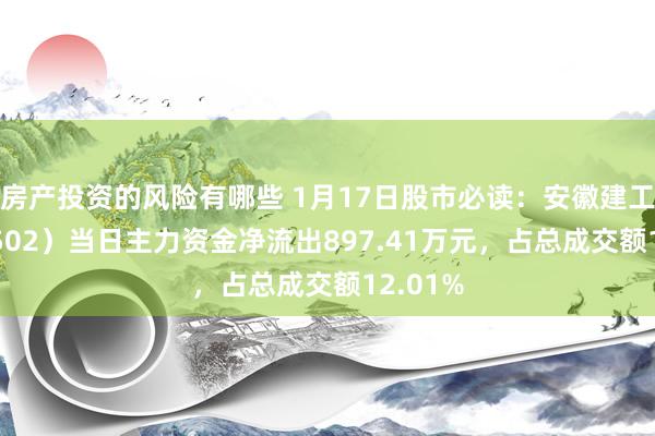 房产投资的风险有哪些 1月17日股市必读：安徽建工（600502）当日主力资金净流出897.41万元，占总成交额12.01%