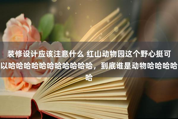 装修设计应该注意什么 红山动物园这个野心挺可以哈哈哈哈哈哈哈哈哈哈哈，到底谁是动物哈哈哈哈