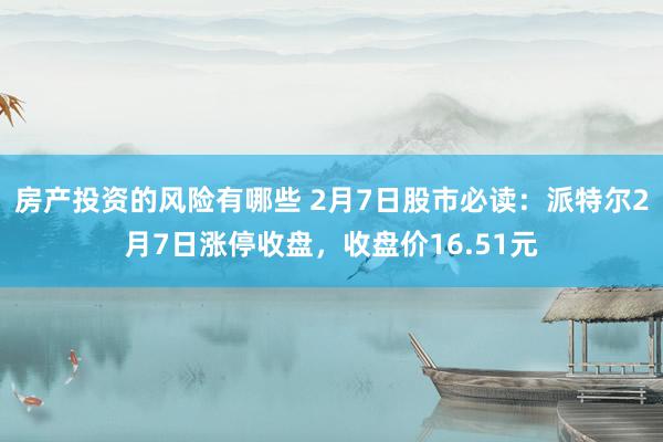 房产投资的风险有哪些 2月7日股市必读：派特尔2月7日涨停收盘，收盘价16.51元