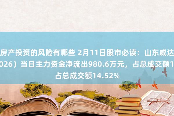 房产投资的风险有哪些 2月11日股市必读：山东威达（002026）当日主力资金净流出980.6万元，占总成交额14.52%