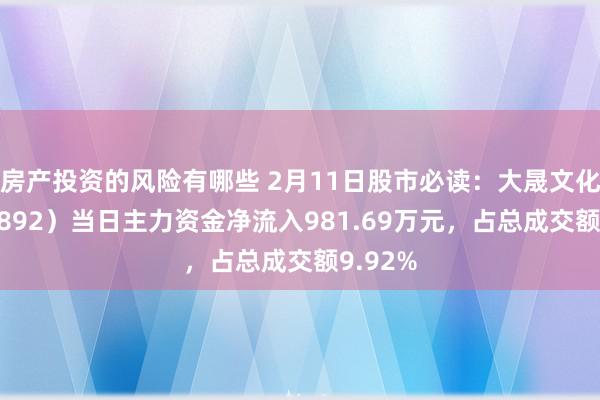 房产投资的风险有哪些 2月11日股市必读：大晟文化（600892）当日主力资金净流入981.69万元，占总成交额9.92%