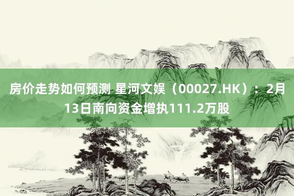 房价走势如何预测 星河文娱（00027.HK）：2月13日南向资金增执111.2万股