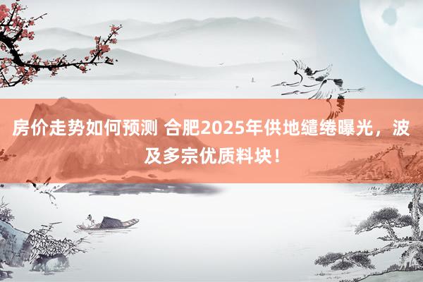 房价走势如何预测 合肥2025年供地缱绻曝光，波及多宗优质料块！