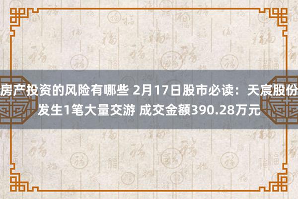 房产投资的风险有哪些 2月17日股市必读：天宸股份发生1笔大量交游 成交金额390.28万元