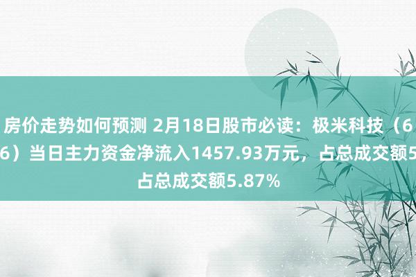 房价走势如何预测 2月18日股市必读：极米科技（688696）当日主力资金净流入1457.93万元，占总成交额5.87%