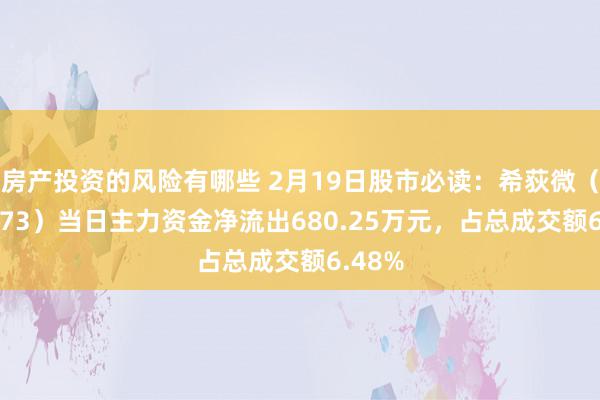 房产投资的风险有哪些 2月19日股市必读：希荻微（688173）当日主力资金净流出680.25万元，占总成交额6.48%