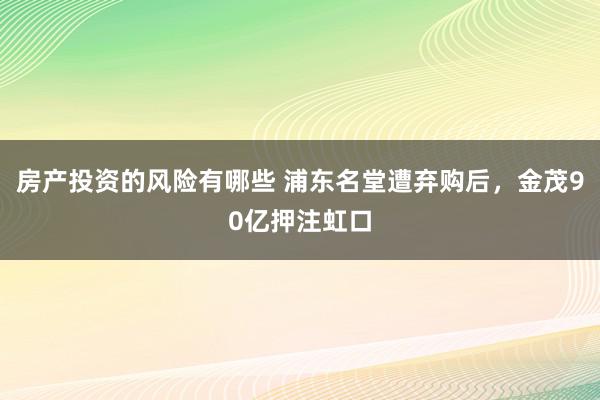 房产投资的风险有哪些 浦东名堂遭弃购后，金茂90亿押注虹口