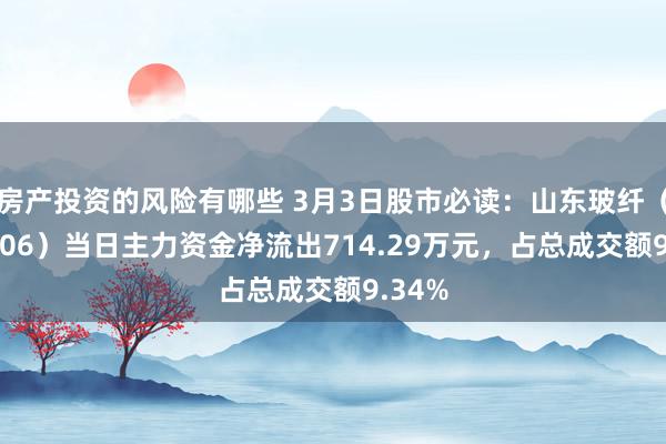 房产投资的风险有哪些 3月3日股市必读：山东玻纤（605006）当日主力资金净流出714.29万元，占总成交额9.34%