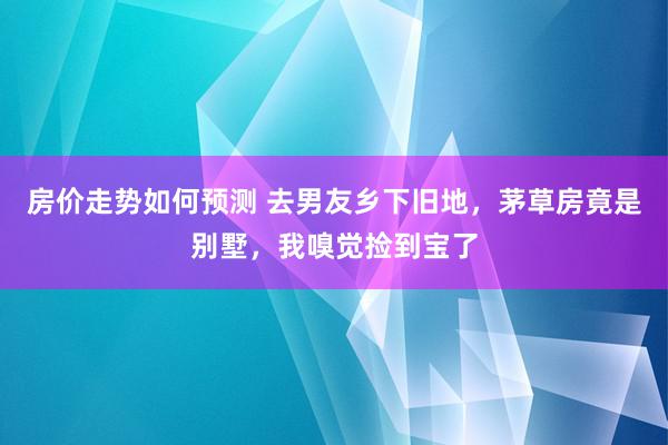 房价走势如何预测 去男友乡下旧地，茅草房竟是别墅，我嗅觉捡到宝了