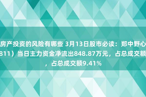 房产投资的风险有哪些 3月13日股市必读：郑中野心（002811）当日主力资金净流出848.87万元，占总成交额9.41%